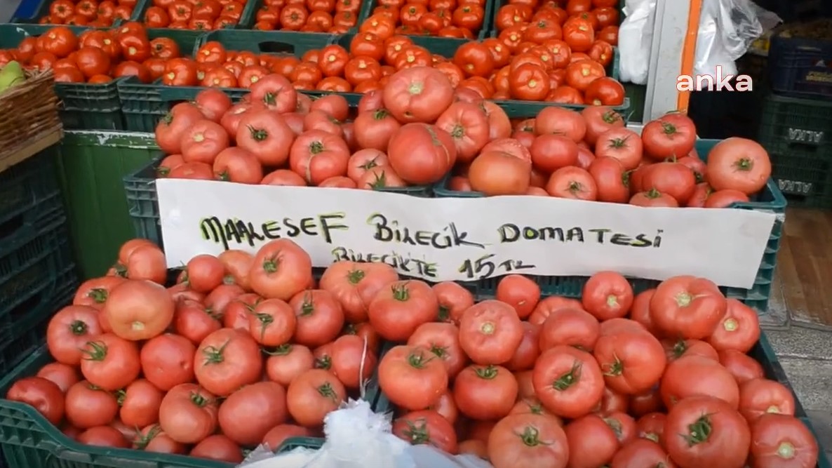 Mevsimi gelse de yiyemiyoruz! Manavın isyanı: "Bilecik domatesi, Bilecik’te 14 TL"