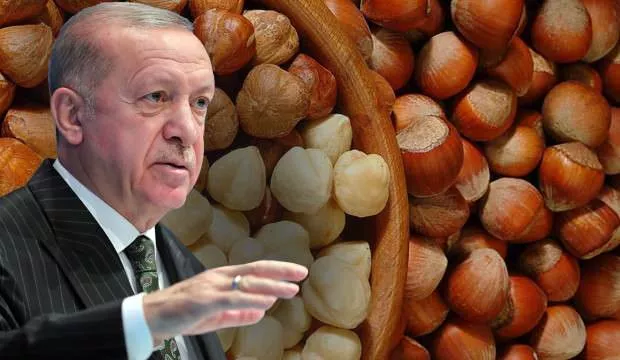Cumhurbaşkanı Erdoğan fındık alım fiyatını açıkladı