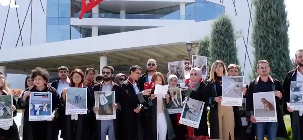 Avukatlar AKP'li Belediye'yi bastı!