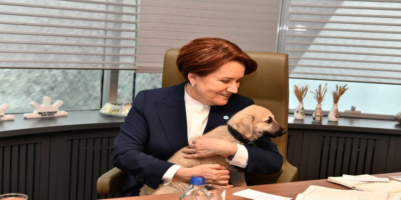 Meral Akşener'i köpek ısırdı