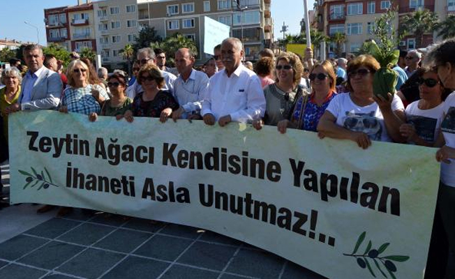 CHP'li Başkan'dan zeytin yasası çıkışı: Tecavüzcü Coşkun gibi oldu bunlar