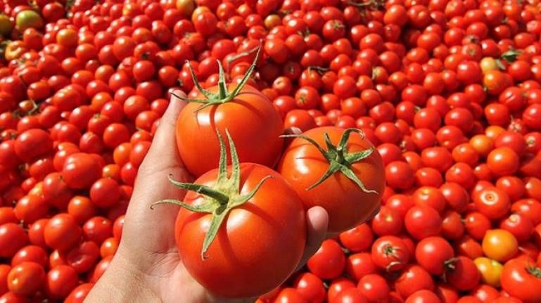 Pazarda tane hesabı sebze meyve: "Bir adet domatesin fiyatı 3 lira 40 kuruş"