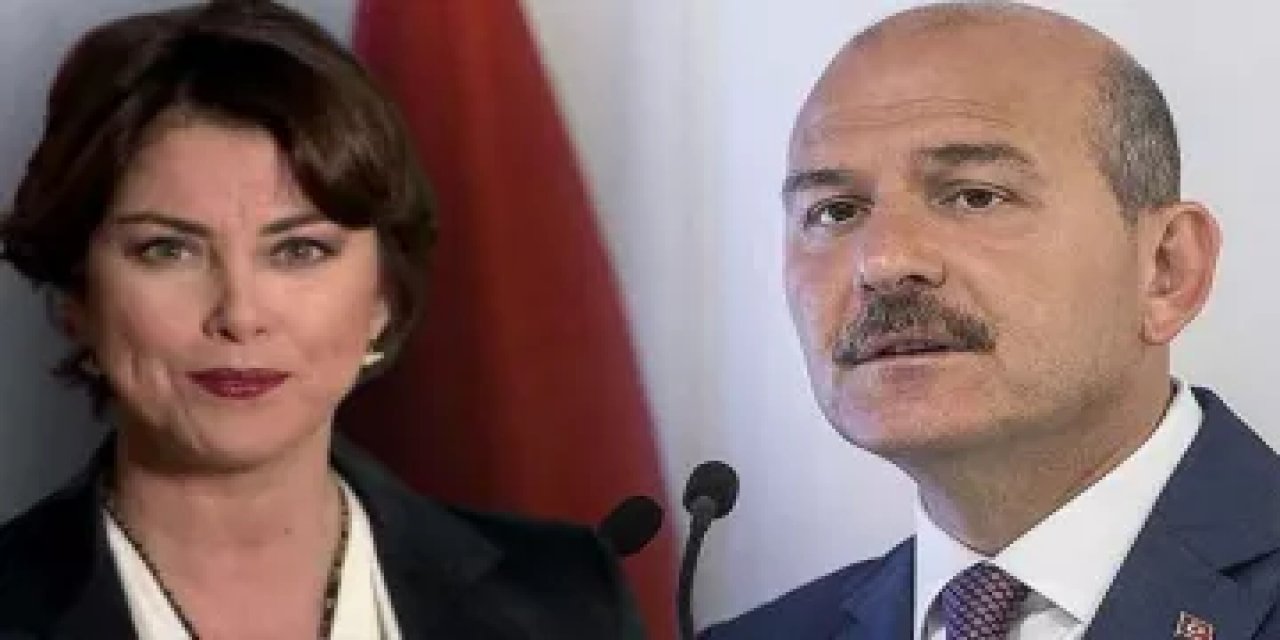 Şirin Payzın'dan Süleyman Soylu'ya yanıt: "Şerefliyim, görevi bırakırım, bunları bırakalım..."