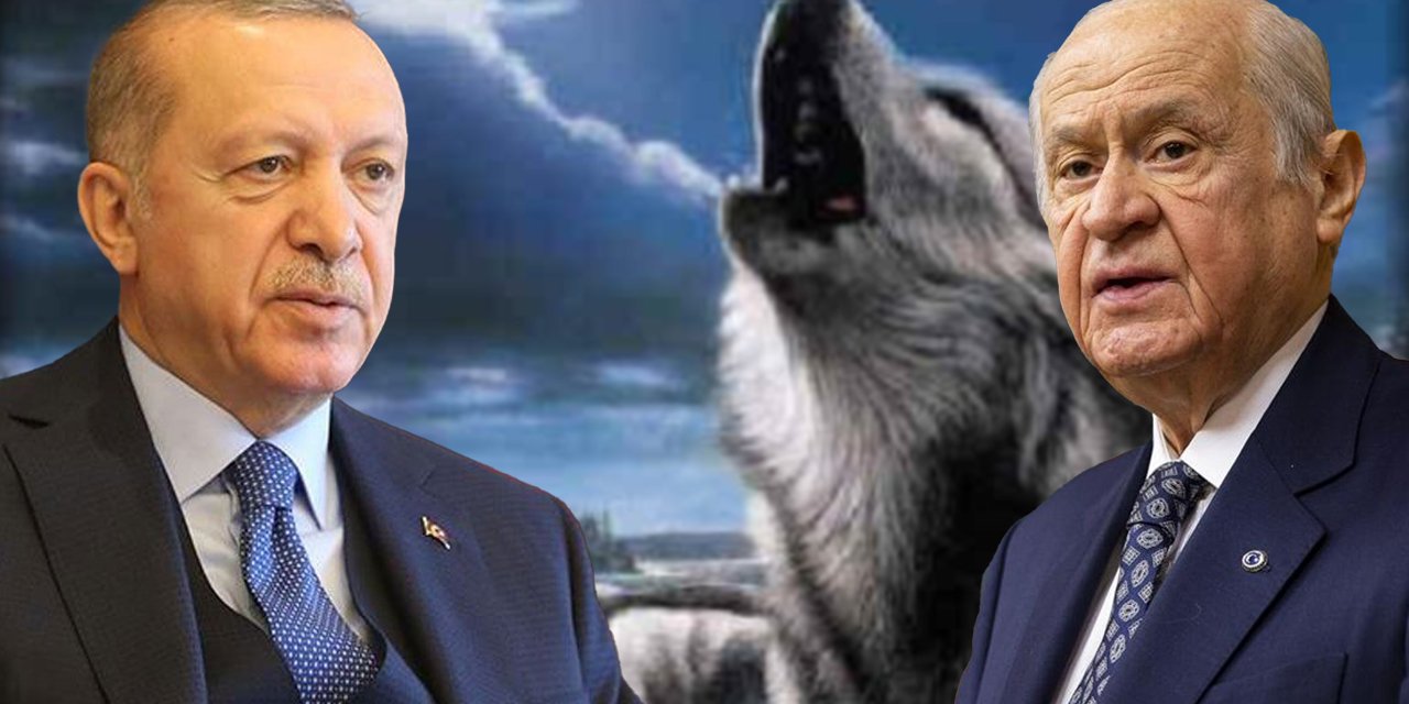 Bozkurtlara vaktiyle 'hayvan' imasında bulunan Erdoğan şimdi şiir okudu! Bahçeli'yle olan tartışması yine gündeme geldi