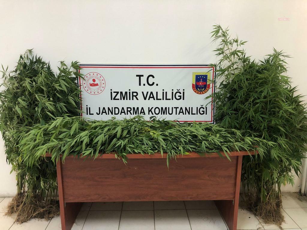 İzmir'de uyuşturucu operasyonu: 6 kişi tutuklandı