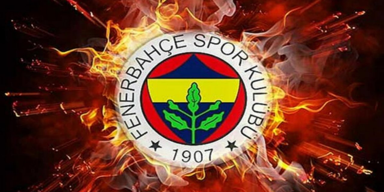 Tayyip Fenerbahçe'de