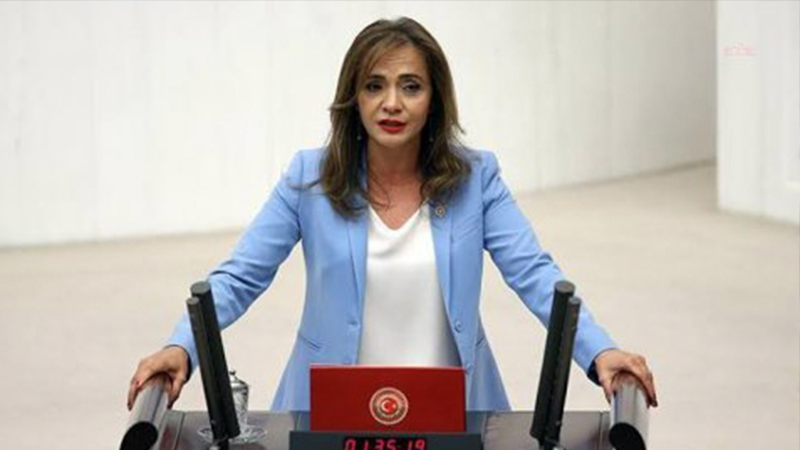 İstifa ettirilen doktora CHP'li İlgezdi'den destek