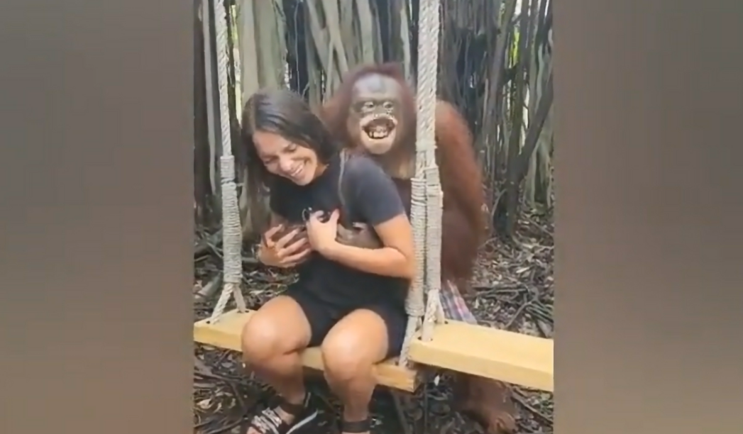 Turist kadına sarılıp öpen orangutan milyonlarca kez tıklandı