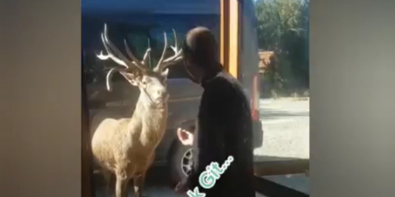 Manisalı esnaf, geyiği konuşarak ikna etti