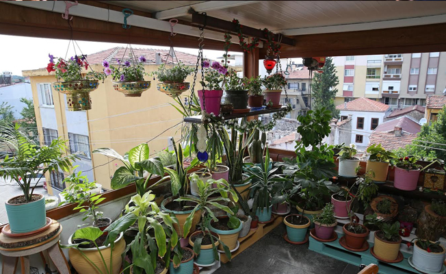 Buca’nın en güzel balkonu seçildi