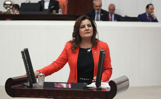 Yerel basının sorunları araştırılmalı