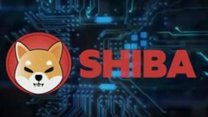 Shiba Inu nedir? Shiba Inu ne zaman 1 dolar olacak? Danışmanlık devinden Shiba açıklaması!