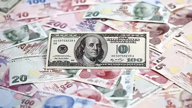 Eriyen Türk lirası, toz olup uçan dolarlar! İşte 10 yılda giden para