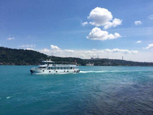 İstanbul Boğazı'nın rengi 'çok iyi' bir haberin işareti