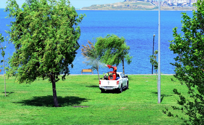 Bu yaz sivrisineksiz geçecek