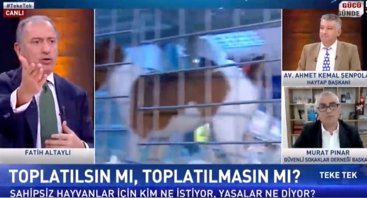 Fatih Altaylı canlı yayında konuğunu azarladı: "Geldiniz, car car car konuşuyorsunuz"