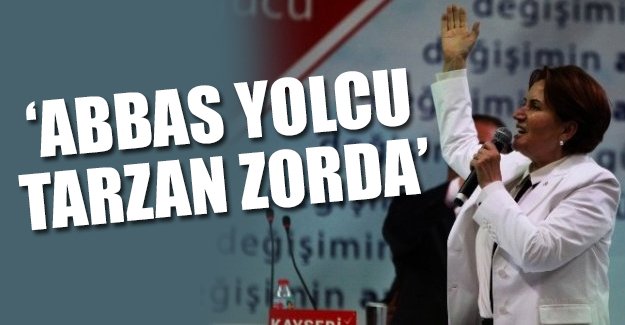 Meral Akşener: Abbas yolcu, Tarzan zorda