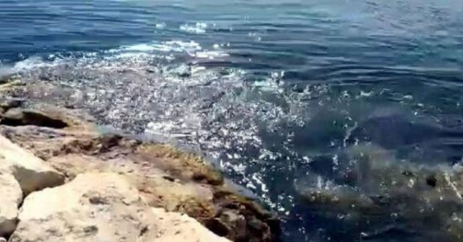 Depremden sonra tsunami yaşanmış