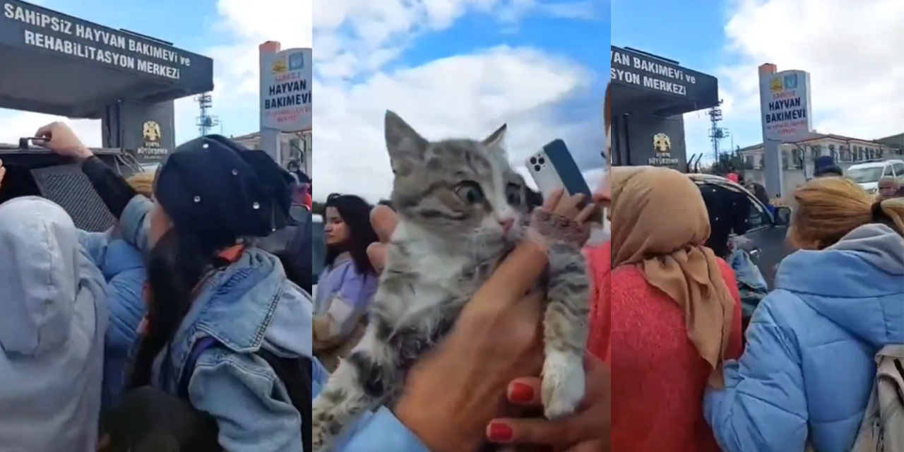 Konya'daki "Hayvan Rehabilitasyon Merkezi"nde skandallar bitmiyor! Poşette taşınan kediler...