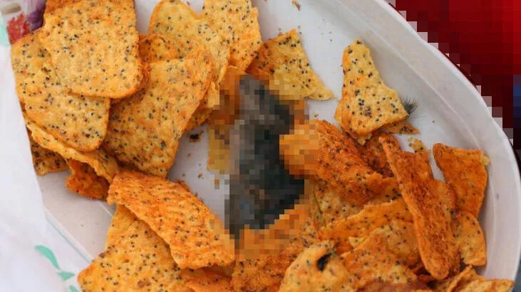 Mide bulandıran görüntü! Cips paketini açan öğrenciler fare ile karşılaştı