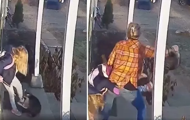 Küçük kızını rakun saldırısından böyle kurtardı