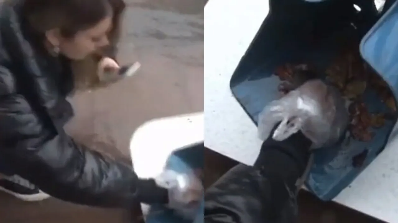 Selde boğulan lağım faresine kalp masajı yaptı