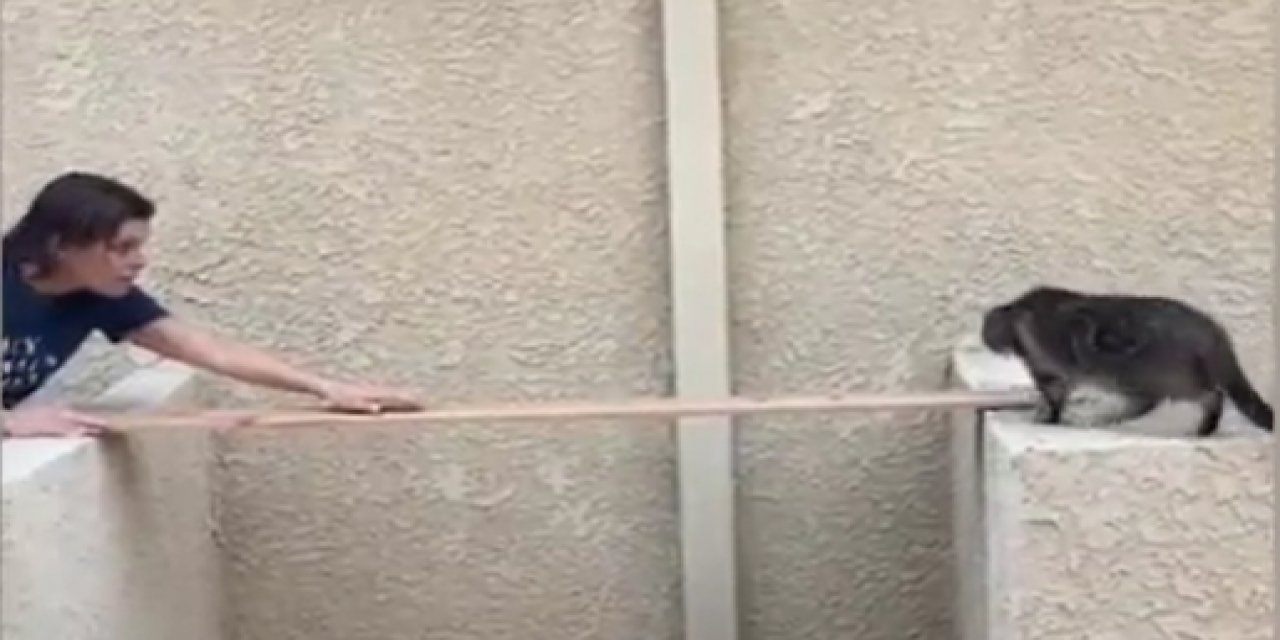 Komşunun balkonuna kaçan kediyi kurtarma operasyonu