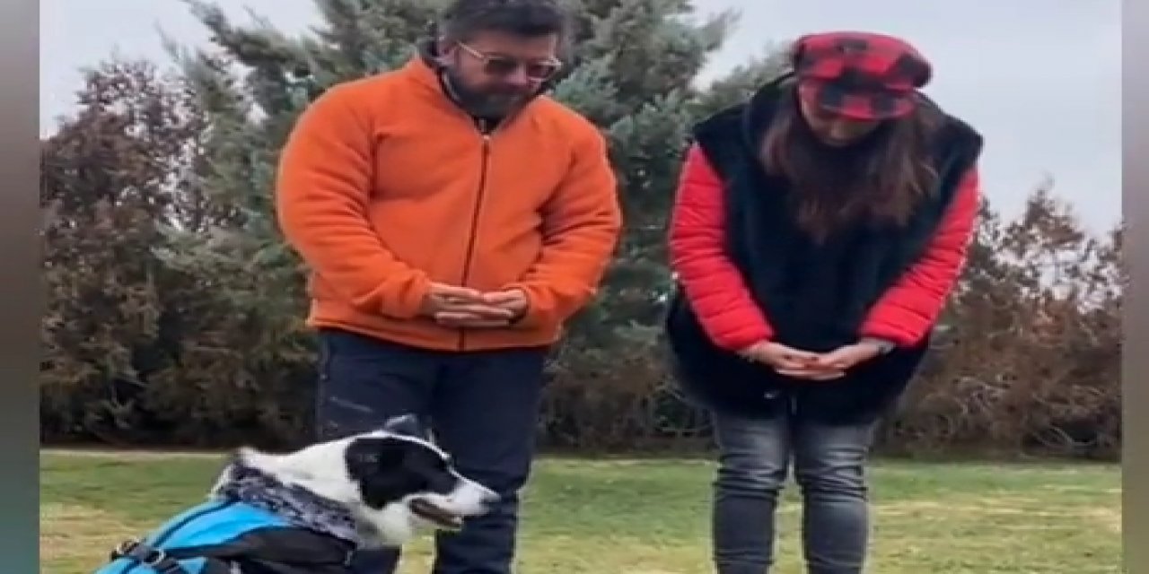 Hande Fırat'tan başıboş köpeklerin saldırısından kurtulma rehberi!