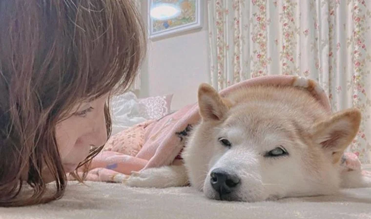 Dogecoin'in simgesi kansere yakalandı