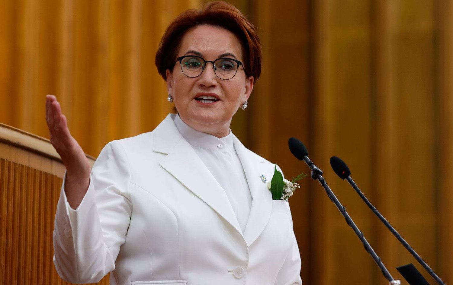 Meral Akşener 8 ilde kongreye katılacak