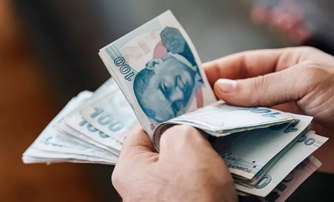 Destek ödemeleri başladı! e-Devlet üzerinden kontrol edin