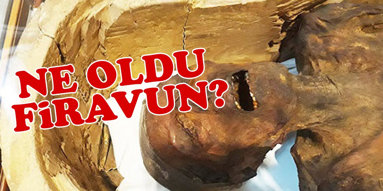 Mısıra giden Türk, ölü firavundan hesap sordu