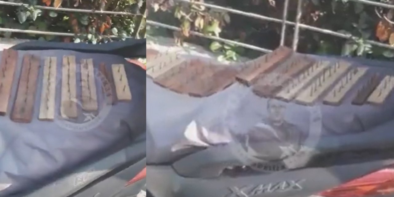 Kedileri öldürmek için 'çivili' tuzak hazırladı!