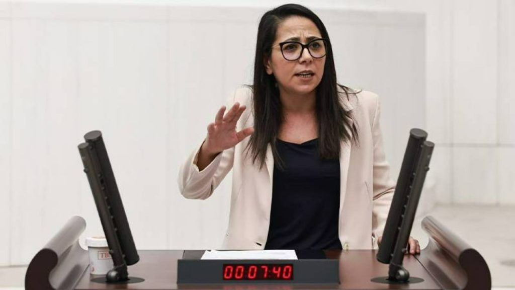 Türkiye İşçi Partisi Milletvekili Sera Kadıgil: "Seçim 14 Mayıs'ta olursa Erdoğan cumhurbaşkanı adayı olamaz"