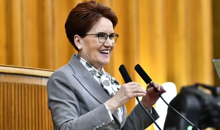 Meral Akşener'e çirkin benzetmede bulunmuştu! Savcı ceza istedi
