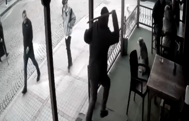 Köpeğe sopayla saldıran şahıs, suçu köpeğe attı
