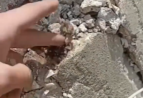 Yıkılan binanın betonundan çıkan malzeme isyan ettirdi
