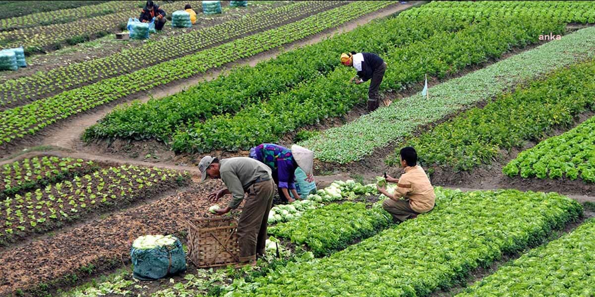 Depremden etkilenen üreticilerin borçları için yeni karar!