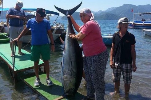 Marmaris'te kadın muhtar, boyundan büyük orkinosu oltayla yakaladı