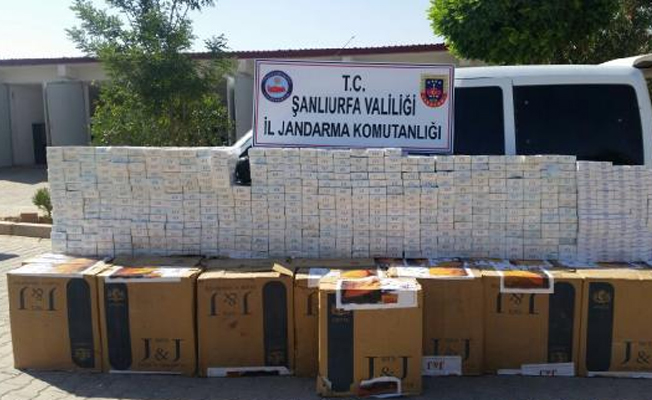 Şanlıurfa'da durdurulan araçta 17 bin paket kaçak sigara ele geçirildi
