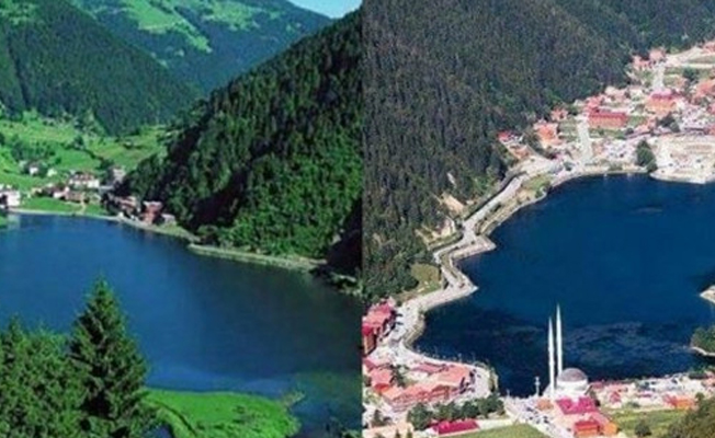 Doğa harikası Uzungöl'ü AKP havuzlu siteye döndürdü