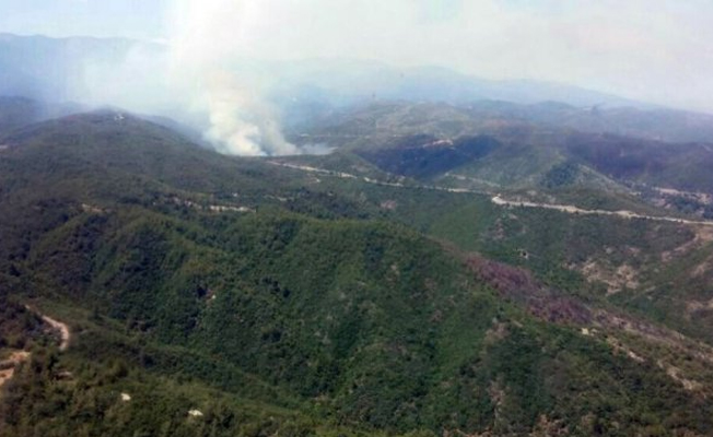 Hatay'da 3 farklı bölgede orman yangını: 25 hektar alan kül oldu