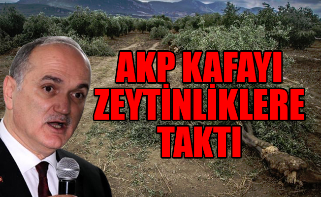 Bakan Özlü: Zeytinlikler konusu tekrar gündeme gelebilir