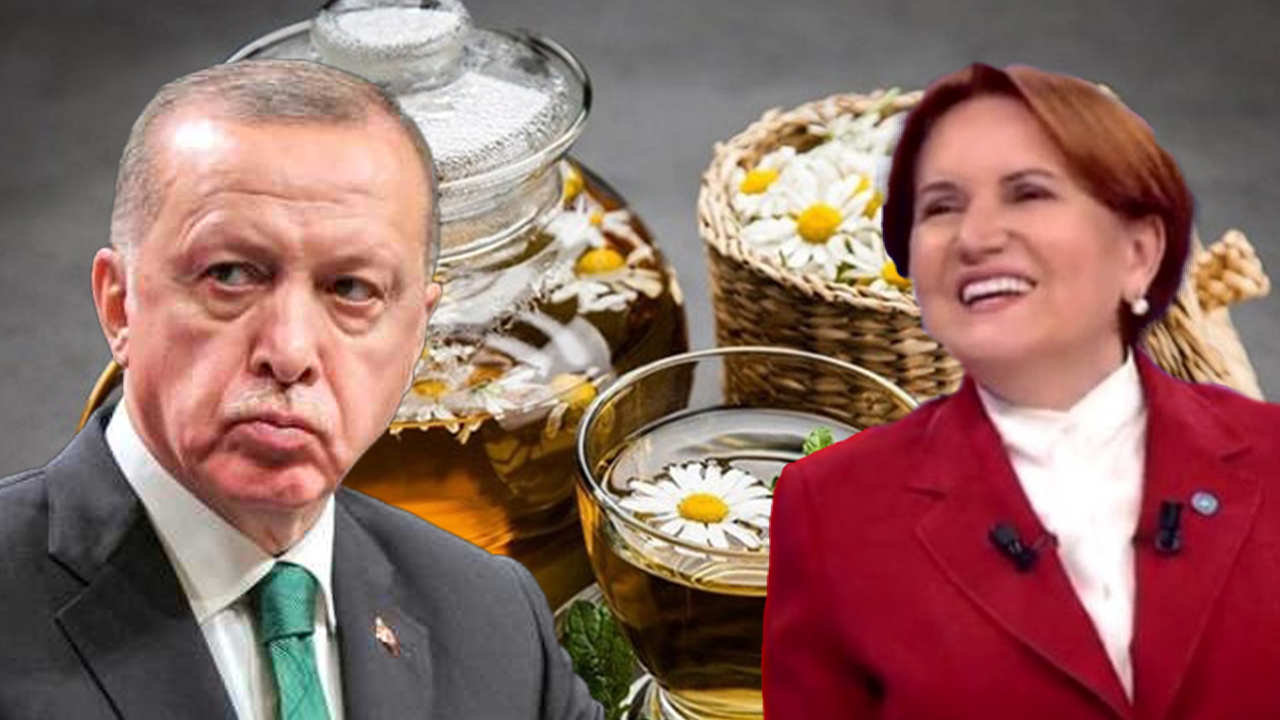 Meral Akşener'den Erdoğan'ın gerginliğine "papatya çayı" önerisi