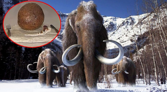 4 bin yıl önce nesli tükenen mamutlardan et yaptılar!