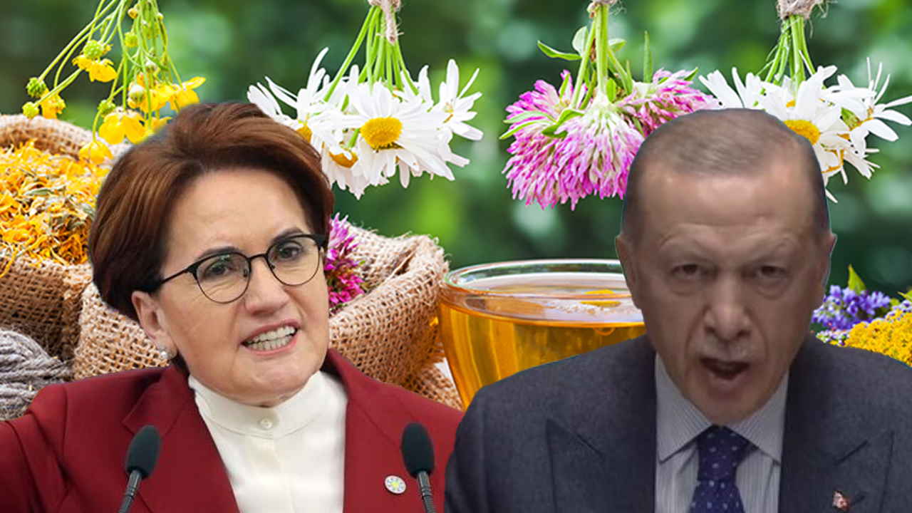 Siyasette "bitki çayı" savaşları! Papatya çayı, melisa çayı, rezene çayı...