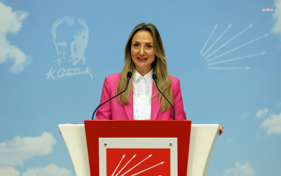 Aylin Nazlıaka: "Kadınlar ya esaretten ya da özgürlükten yana oy kullanacak"
