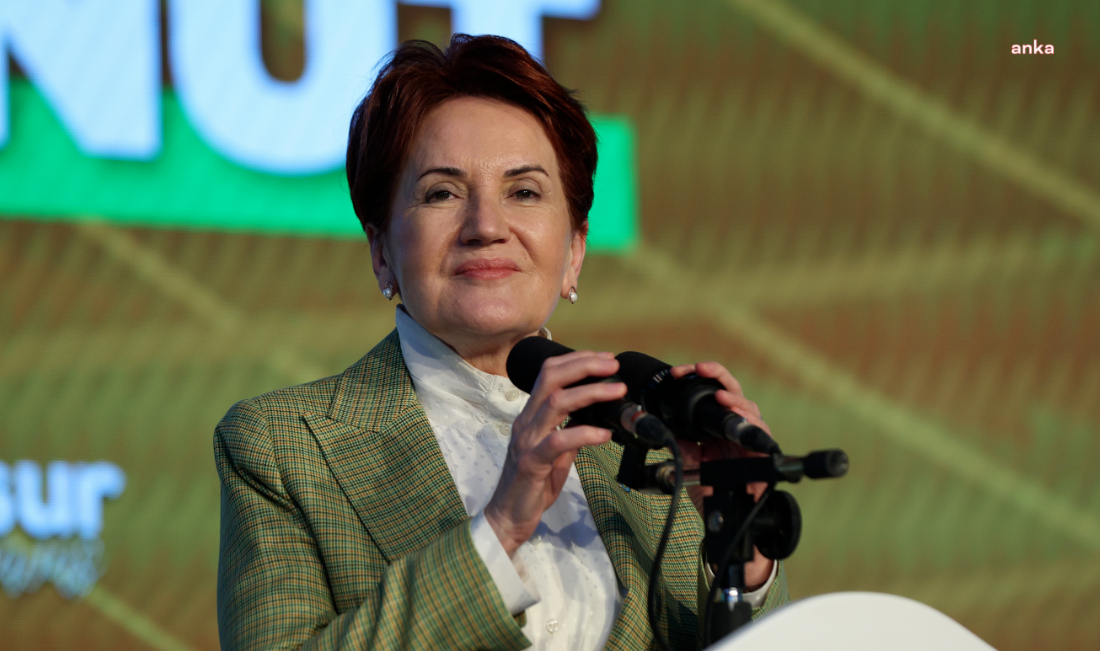 Meral Akşener, kamu mühendislerine söz verdi: "25 gün sonra tüm bu haksızlıklar son bulacak"