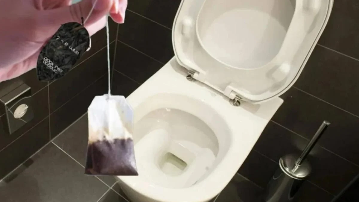 Çayı içtikten sonra çöpe atmayın! Sallama çayı klozete attığınızda bakın neler oluyor