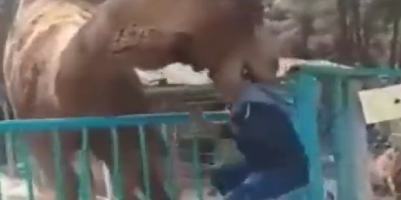 Deve, çocuğun kafasını kapıp havaya kaldırdı